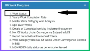 Work Progress Report